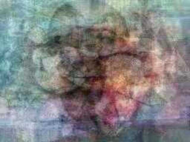 autoscopia: Ally_Kovacs