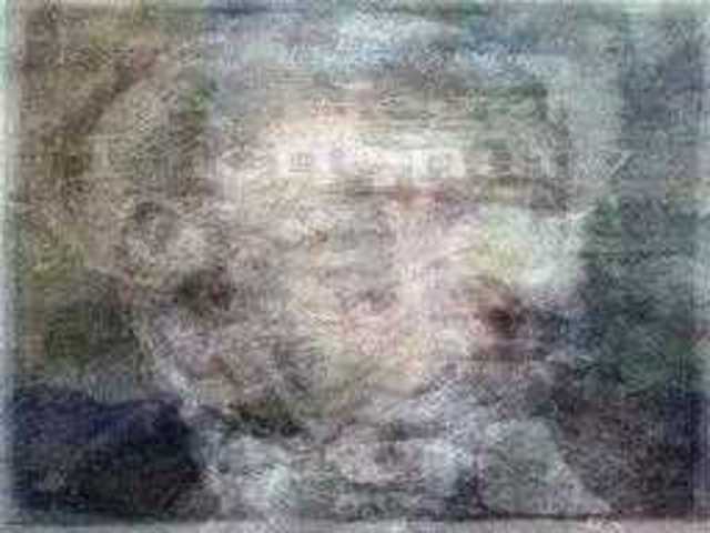 autoscopia: Andrew_Giles_Peters