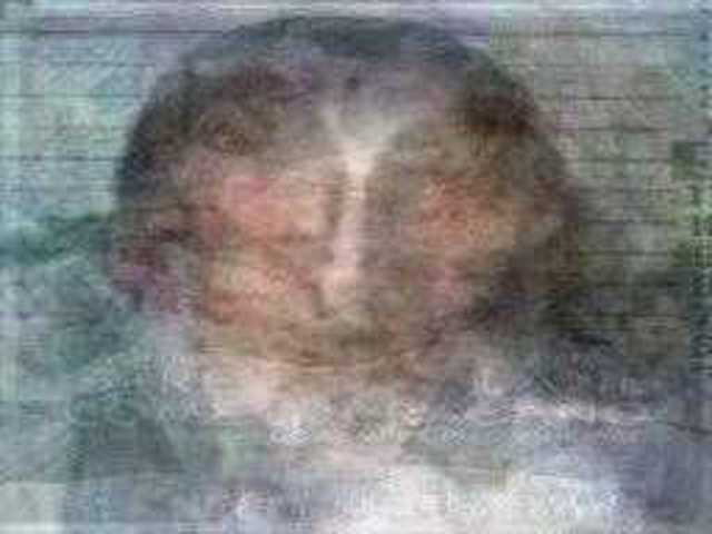 autoscopia: Ann_Peacock