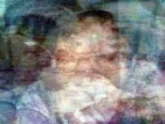 autoscopia: Annamaria_Mays_Vermeer