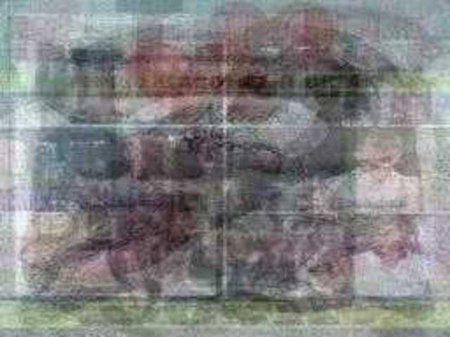 autoscopia: Black_Cock