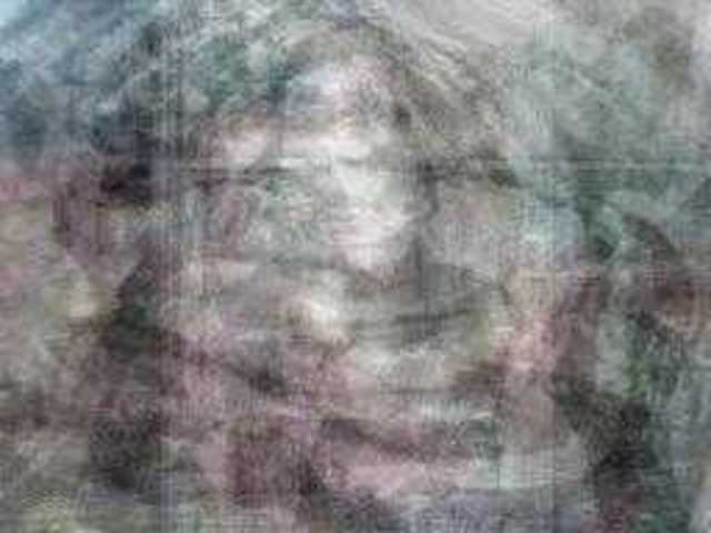 autoscopia: Chris_Kraus