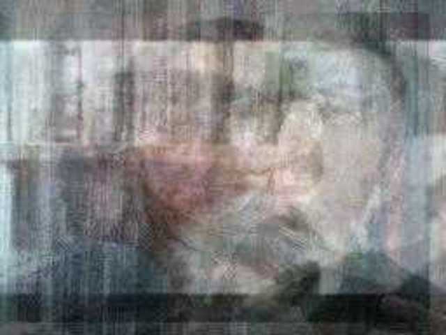 autoscopia: Emilio_Garcia_Wehbi