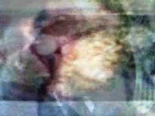 autoscopia: Evalise_Livingrooms