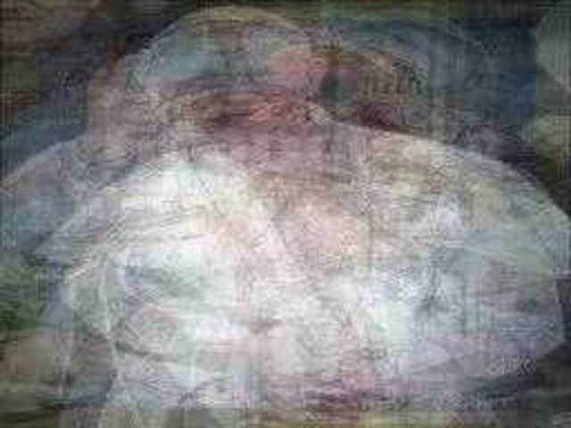 autoscopia: Francisco_Pope