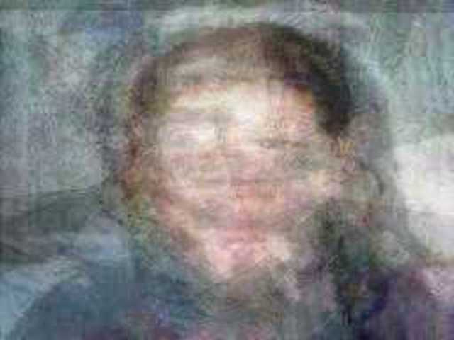 autoscopia: Gallelli