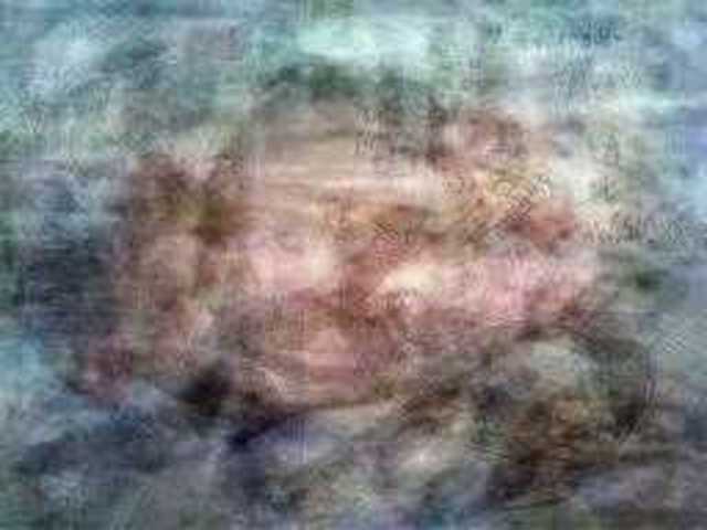 autoscopia: Hazel_Meyer