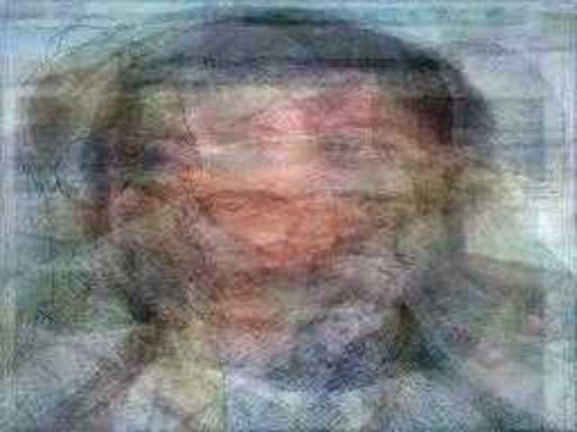 autoscopia: Homer_J._Simpson