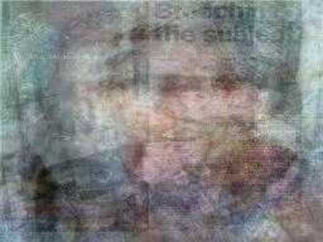 autoscopia: Ionat_Zurr