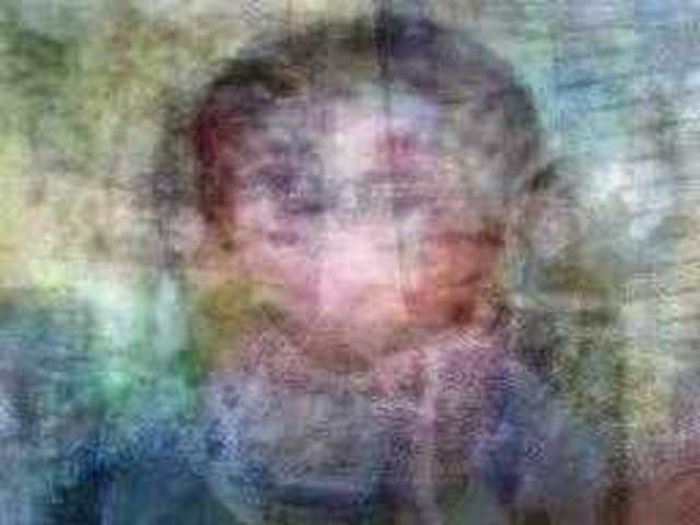 autoscopia: Josh_Harle