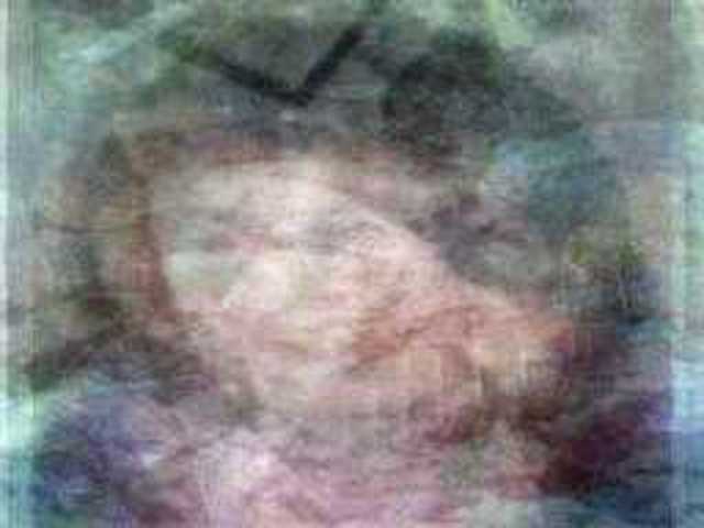 autoscopia: Joyce_Ely