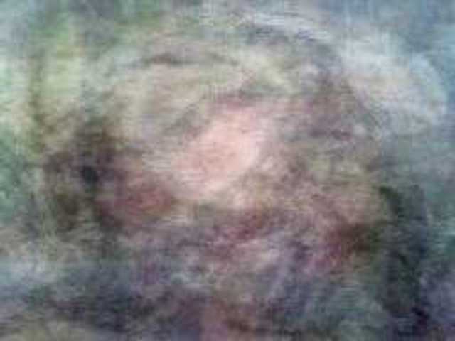 autoscopia: Lena_Strayhorn