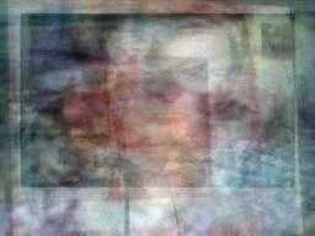 autoscopia: Lichen_Kemp