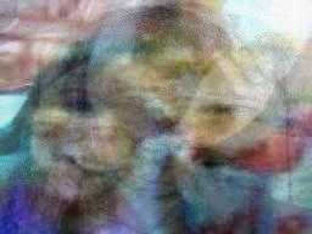 autoscopia: Louise_Lindlar