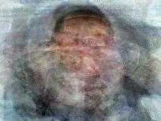 autoscopia: Meulstee