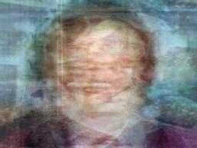 autoscopia: Ned_Rossiter