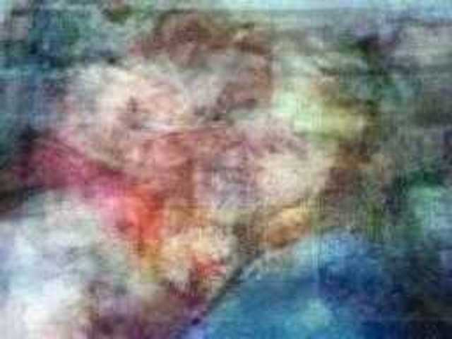 autoscopia: Norbert_K_Hund