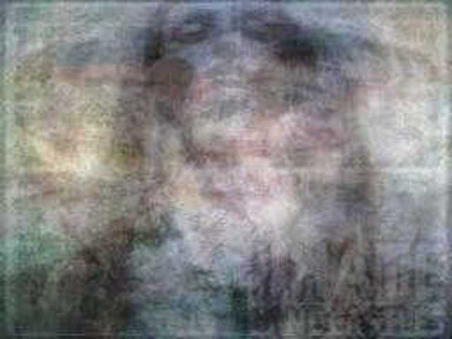 autoscopia: Opethlogo