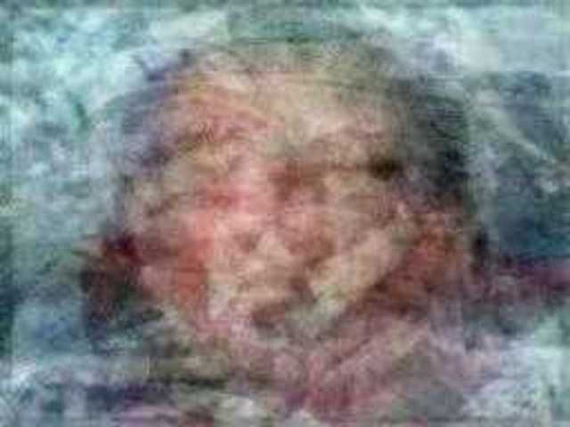 autoscopia: Paul_W_Berryman