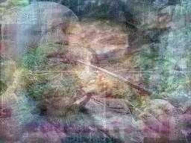 autoscopia: Peter_Piper