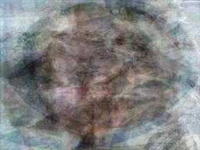 autoscopia: Rod_Bamford