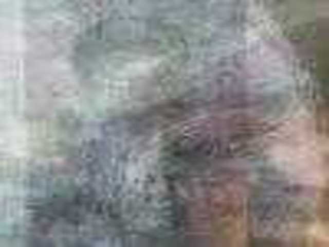 autoscopia: Ruark_Lewis