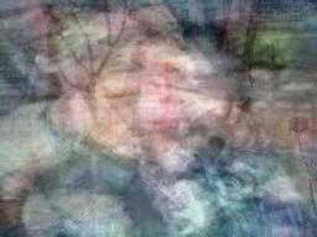 autoscopia: Sam_Illingworth