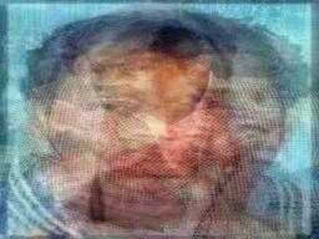 autoscopia: Sam_Perkins