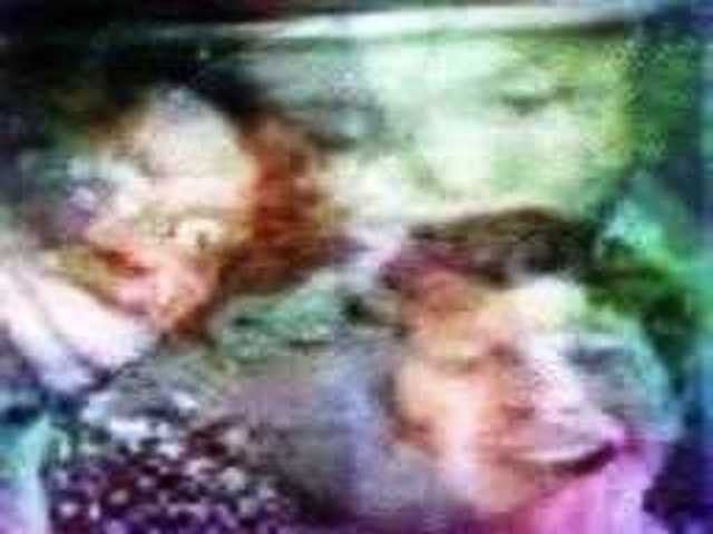 autoscopia: Sarah_Ellen_Ely