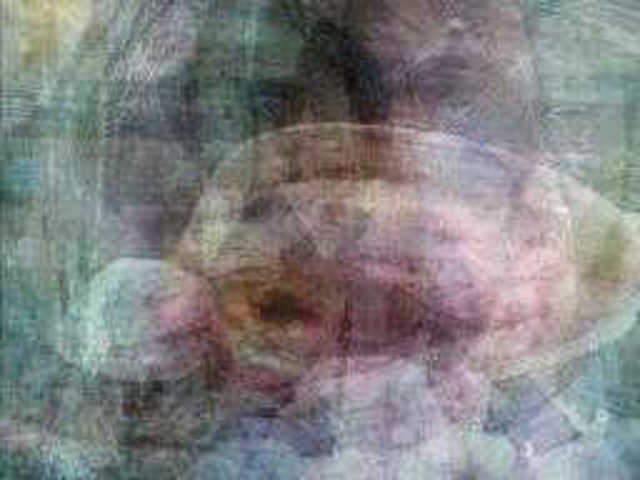 autoscopia: Tessa_Eden