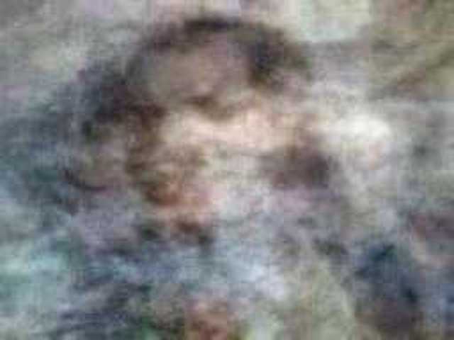 autoscopia: Thedavidmeister