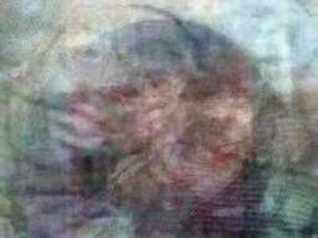 autoscopia: Theodoros_Chiotis