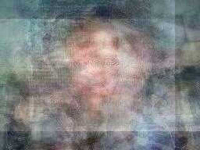 autoscopia: Toronaro