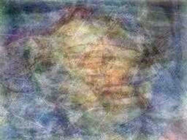 autoscopia: Virginia_Rouse