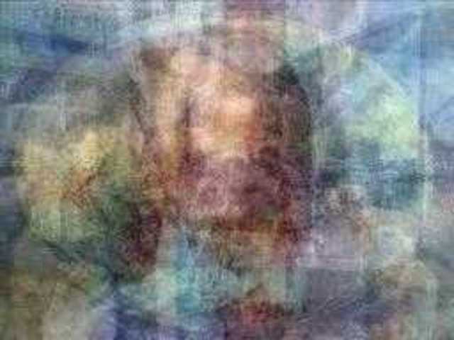 autoscopia: Virginia_Skipper