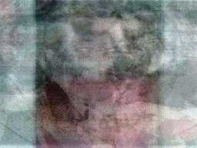 autoscopia: assia_weevil