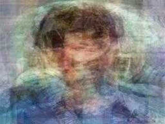 autoscopia: brady_bunch