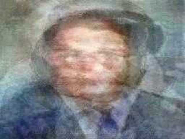 autoscopia: bruce_perkins