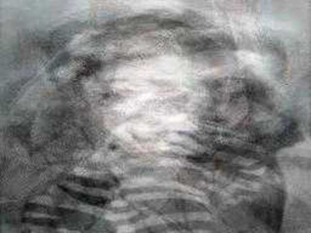 autoscopia: lauren_bacall