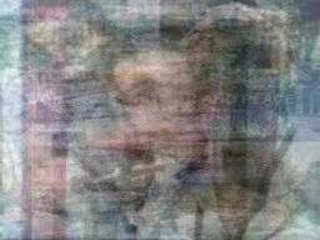 autoscopia: lincoln_dahlberg