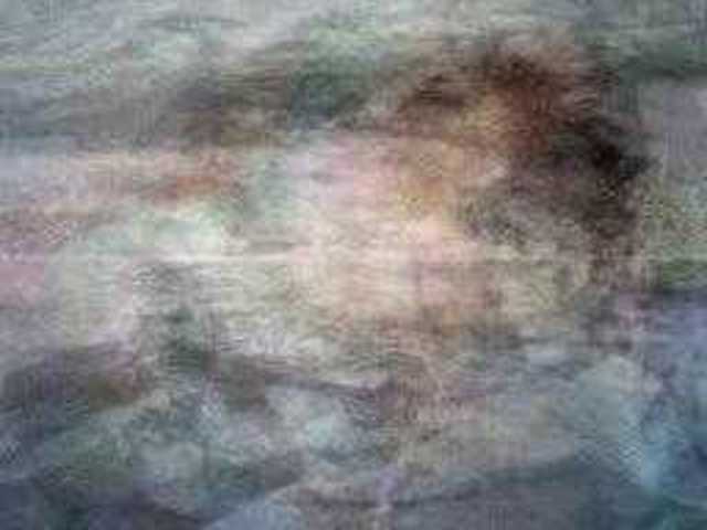 autoscopia: liza_praprotnik