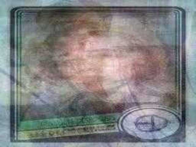 autoscopia: nika_stein